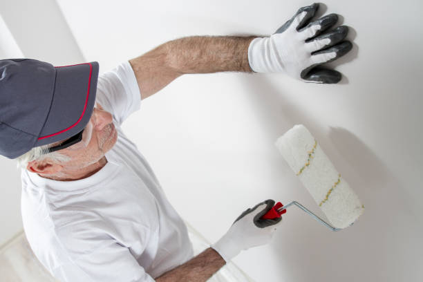 Best Water-Damaged Drywall Repair  in Iona, FL